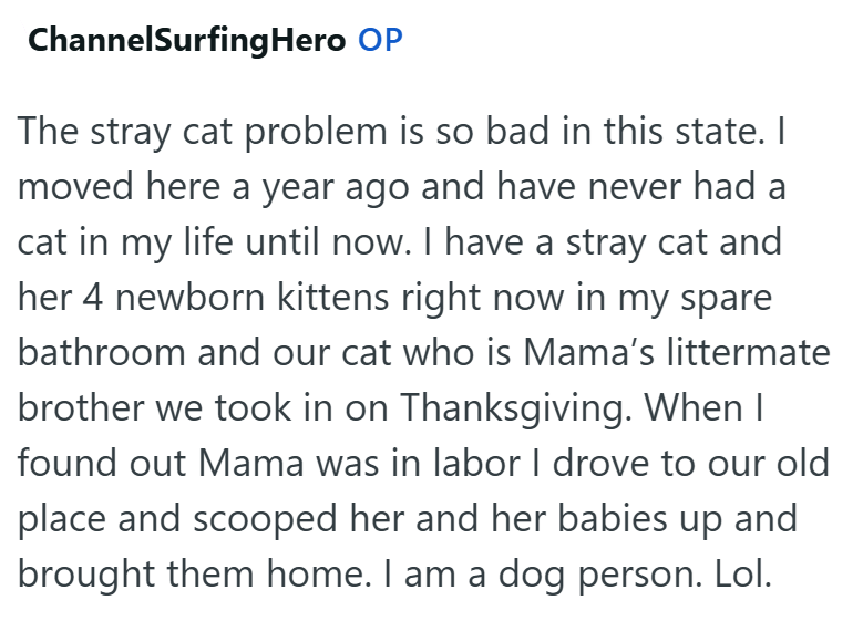 ChannelSurfing Hero OP The stray cat problem is so bad in this state. I moved here a year ago and have never had a cat in my life until now. I have a stray cat and her 4 newborn kittens right now in my spare bathroom and our cat who is Mama's littermate brother we took in on Thanksgiving. When I found out Mama was in labor I drove to our old place and scooped her and her babies up and brought them home. I am a dog person. Lol.