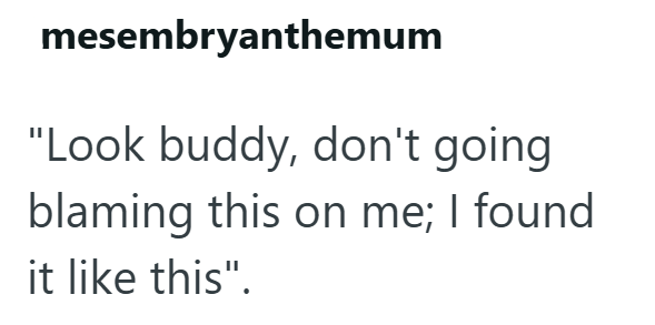 mesembryanthemum "Look buddy, don't going blaming this on me; I found it like this".
