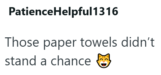 PatienceHelpful1316 Those paper towels didn't stand a chance