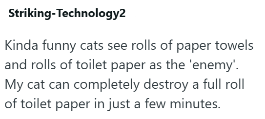 Striking-Technology2 Kinda funny cats see rolls of paper towels and rolls of toilet paper as the 'enemy'. My cat can completely destroy a full roll of toilet paper in just a few minutes.
