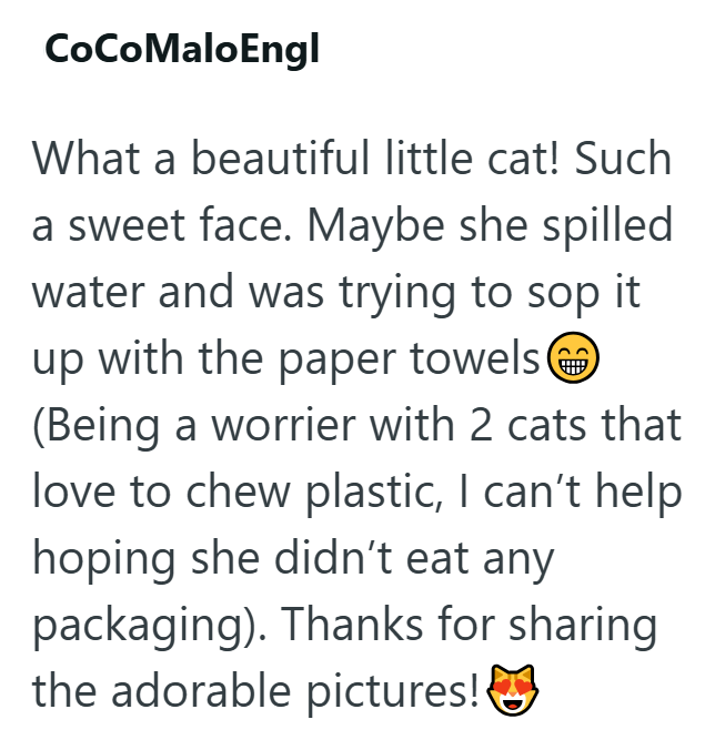 CoCoMaloEngl What a beautiful little cat! Such a sweet face. Maybe she spilled water and was trying to sop it up with the paper towels (Being a worrier with 2 cats that love to chew plastic, I can't help hoping she didn't eat any packaging). Thanks for sharing the adorable pictures!