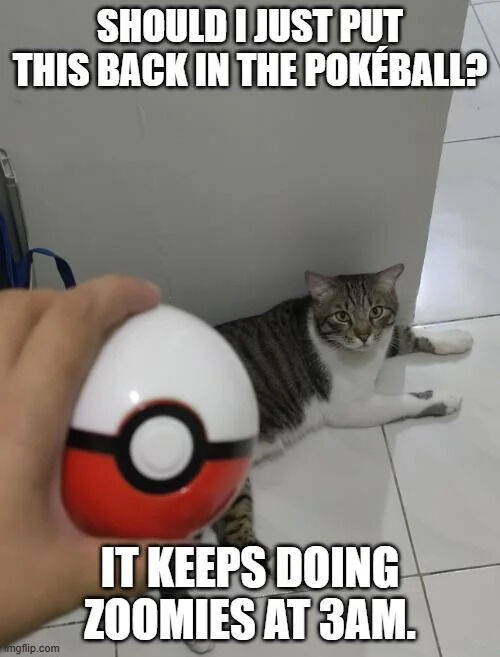 SHOULD I JUST PUT THIS BACK IN THE POKEBALL? mgflip.com IT KEEPS DOING ZOOMIES AT 3AM.