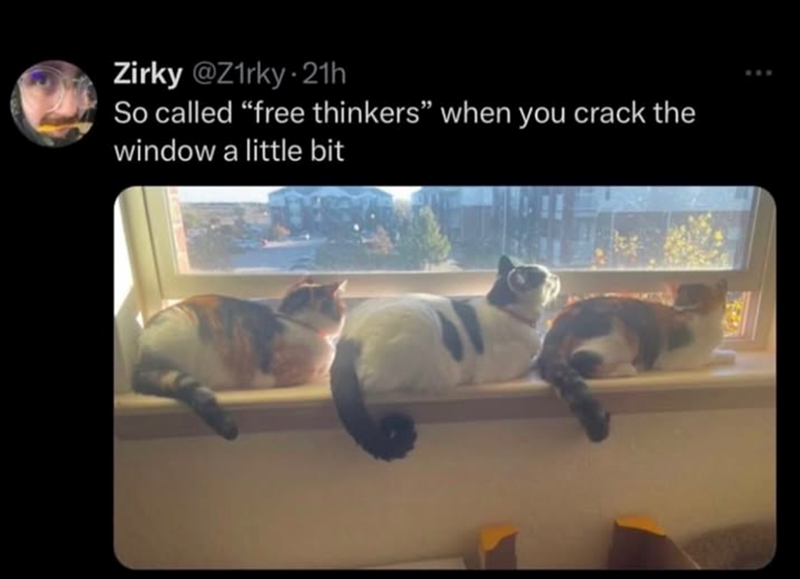 B Zirky @Z1rky-21h So called "free thinkers" when you crack the window a little bit