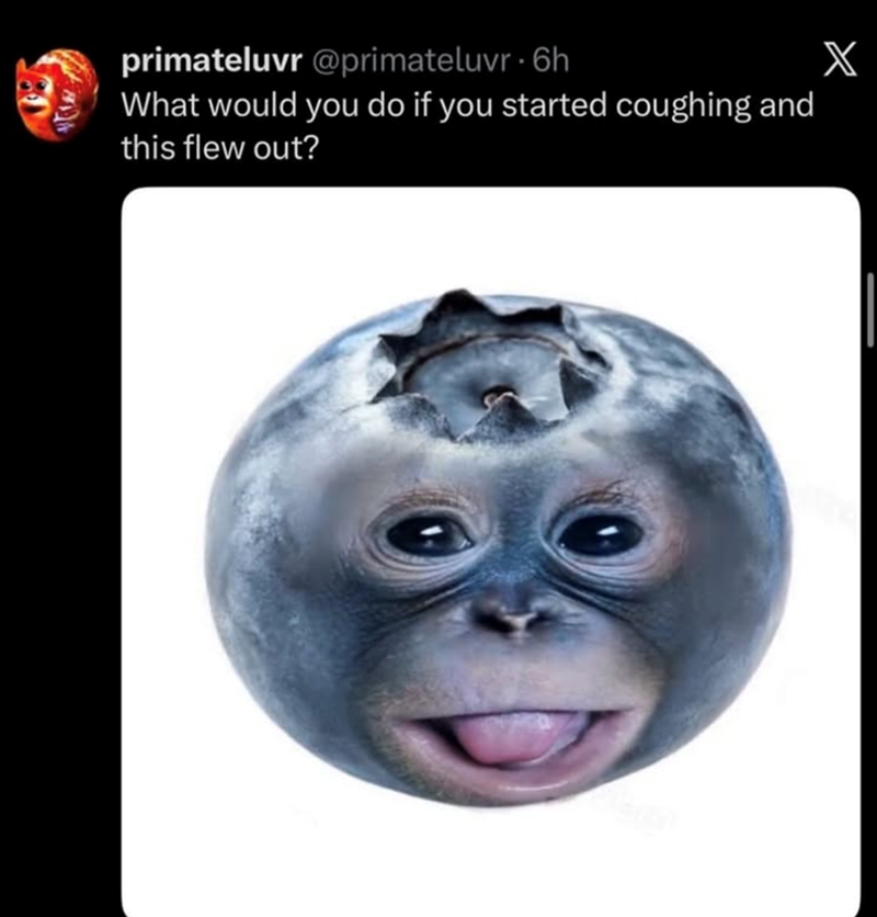 primateluvr @primateluvr 6h What would you do if you started coughing and this flew out? X