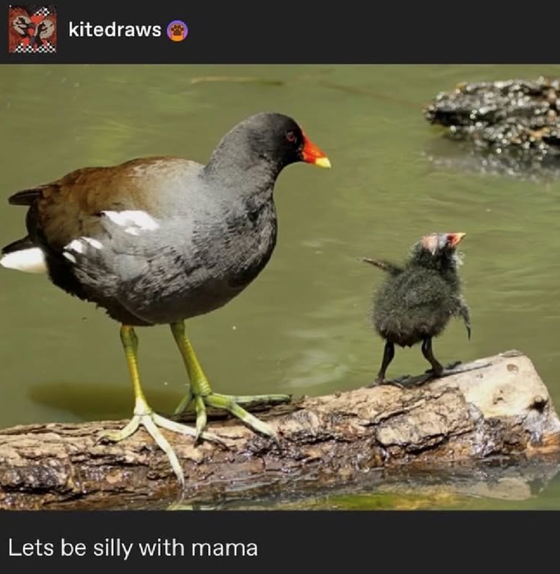 kitedraws Lets be silly with mama