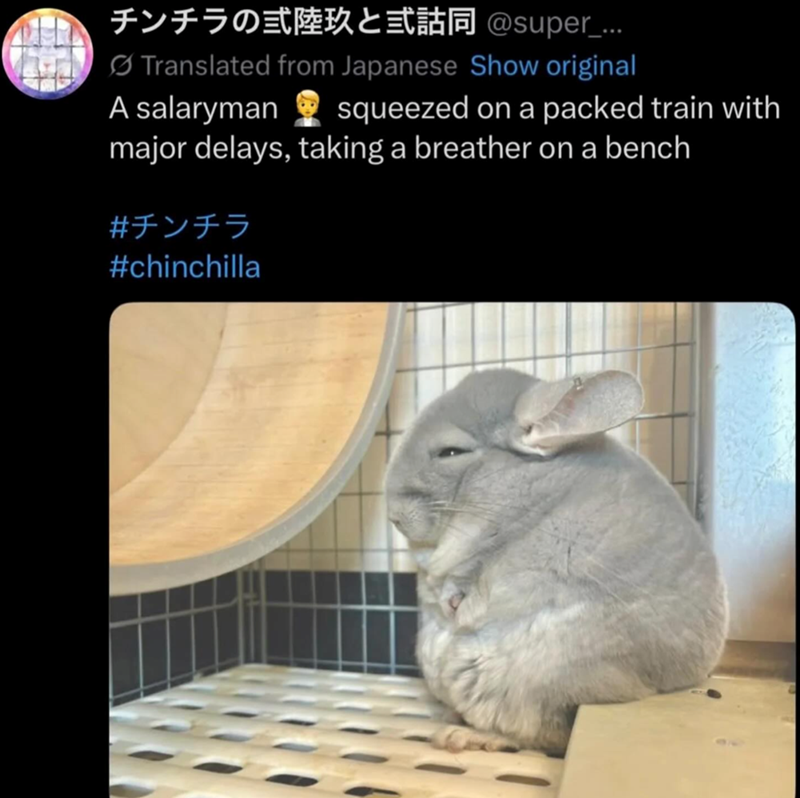 チンチラの弐陸玖と弐話同 @super_... Translated from Japanese Show original A salaryman squeezed on a packed train with major delays, taking a breather on a bench #チンチラ #chinchilla