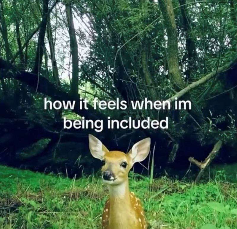 how it feels when im being included