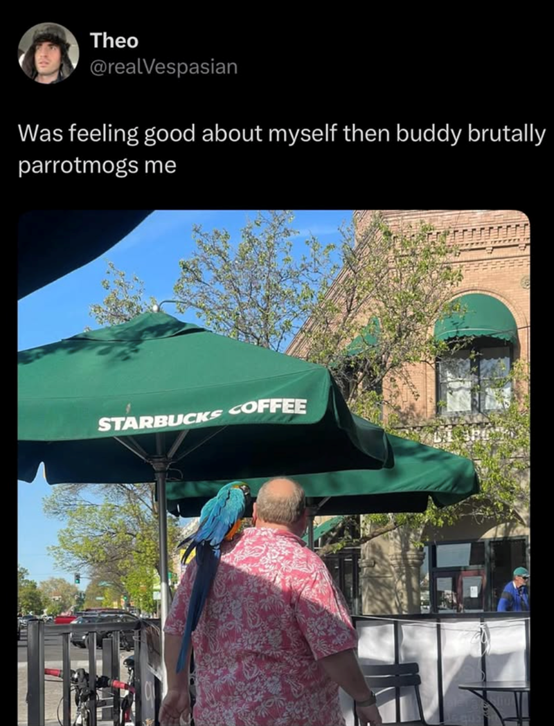 Theo @realVespasian Was feeling good about myself then buddy brutally parrotmogs me STARBUCKS COFFEE