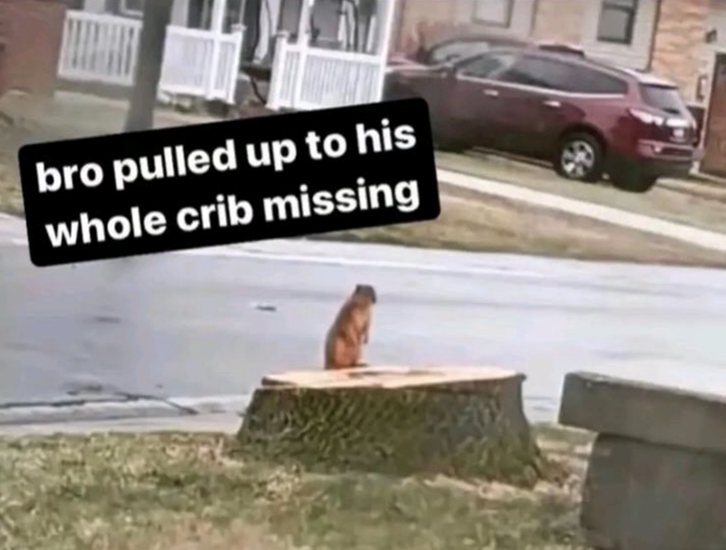 bro pulled up to his whole crib missing
