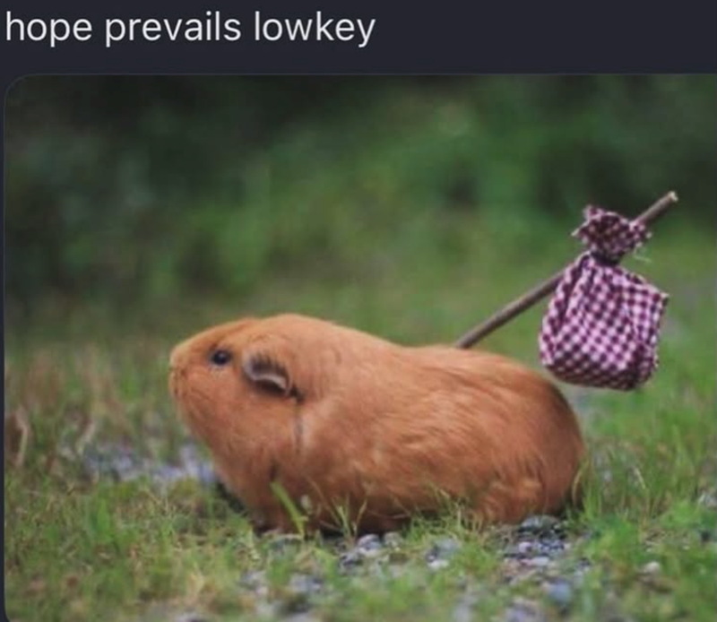 hope prevails lowkey