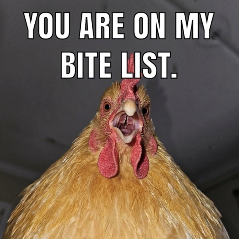 YOU ARE ON MY BITE LIST.