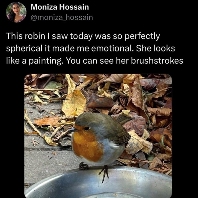 Moniza Hossain @moniza_hossain This robin I saw today was so perfectly spherical it made me emotional. She looks like a painting. You can see her brushstrokes
