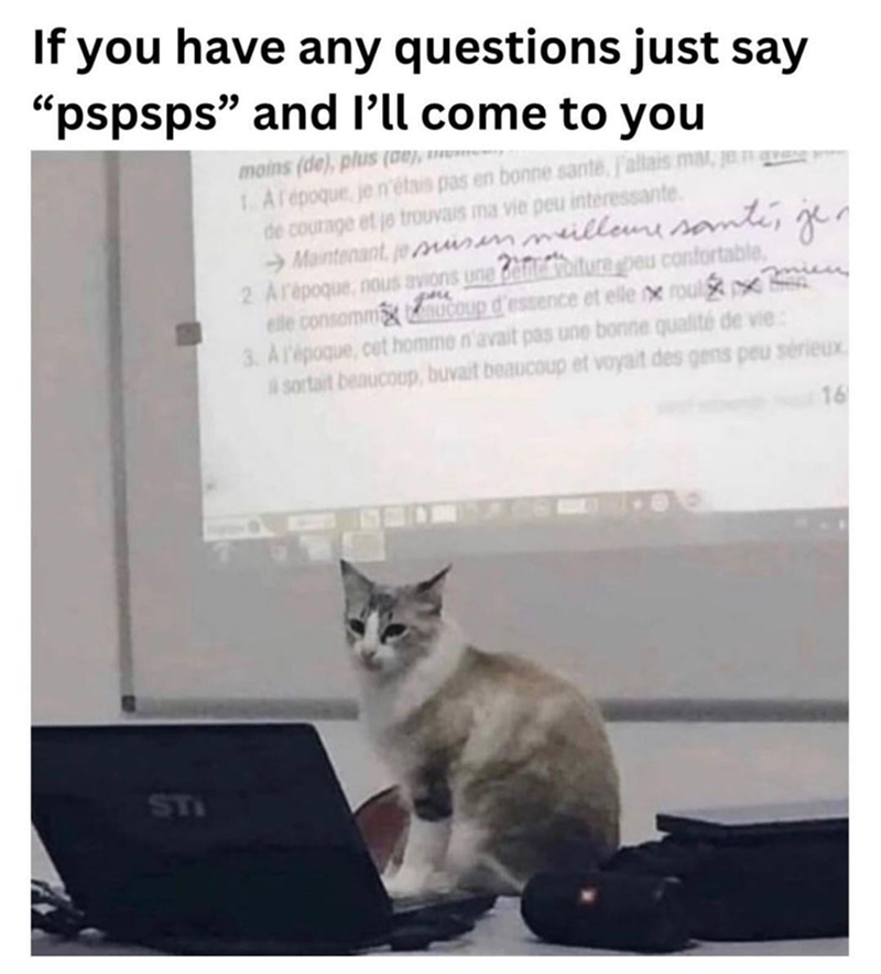 If you have any questions just say "pspsps" and I'll come to you moins (de), plus (00), mm- 1. A l'époque je n'étais pas en bonne santé, j'allais mat, ja q de courage et je trouvais ma vie peu interessante. Maintenant, je suis meilleure santé, je 2. Ar'époque, nous avions une foiture peu confortable, elle consomma ucoup d'essence et elle x roul 3. A l'époque, cet homme n'avait pas une bonne qualité de vie: sortait beaucoup, buvait beaucoup et voyait des gens peu sérieux STI 16