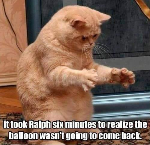 It took Ralph six minutes to realize the balloon wasn't going to come back.