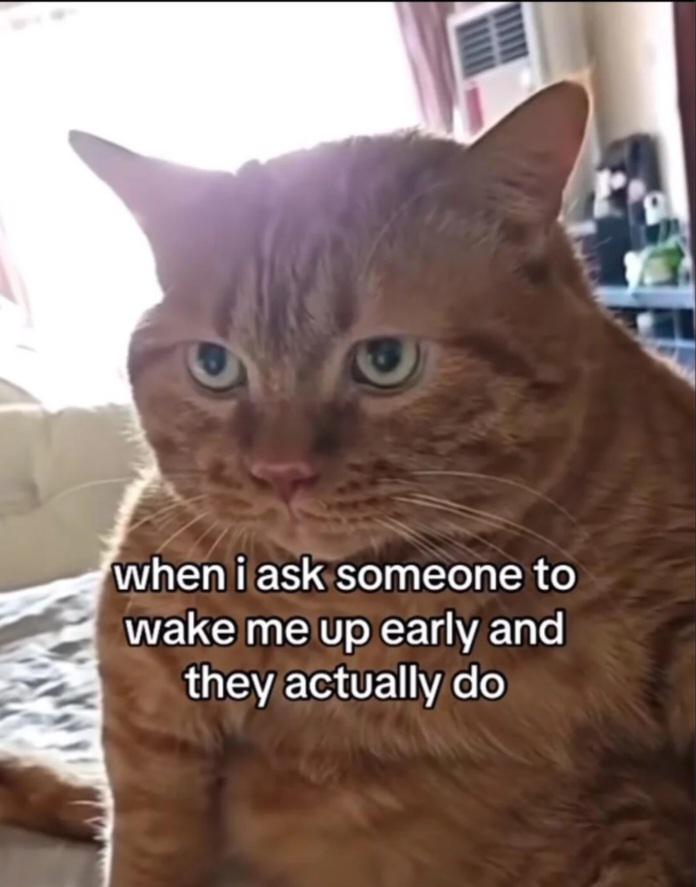 when i ask someone to wake me up early and they actually do