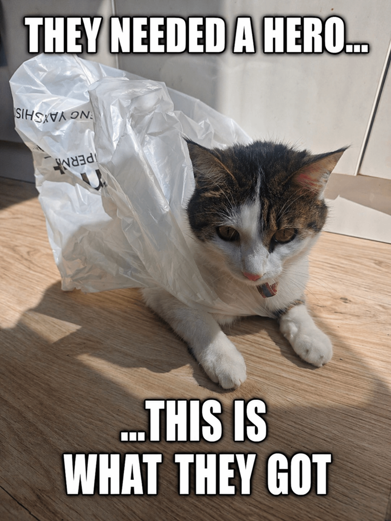 THEY NEEDED A HERO... SIHSAA ON ਅਖਤਰ ...THIS IS WHAT THEY GOT