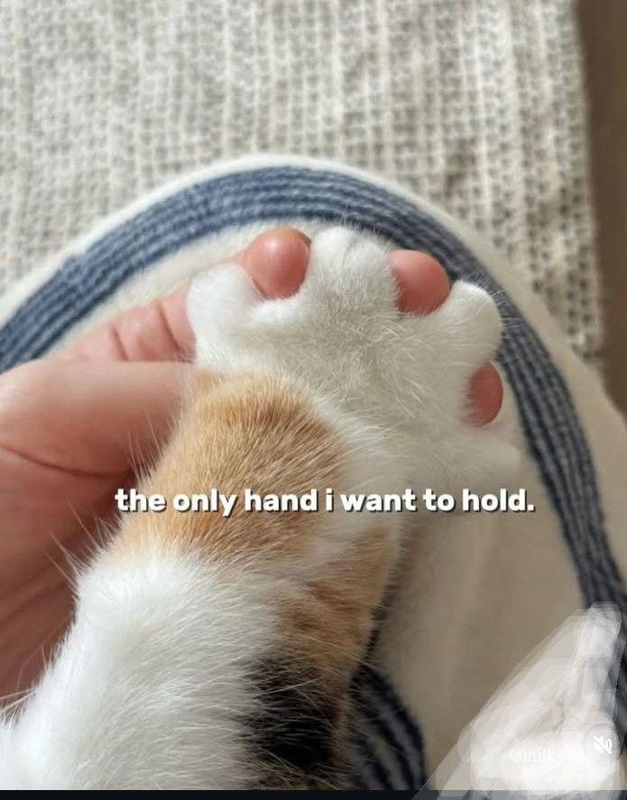the only hand i want to hold. milky