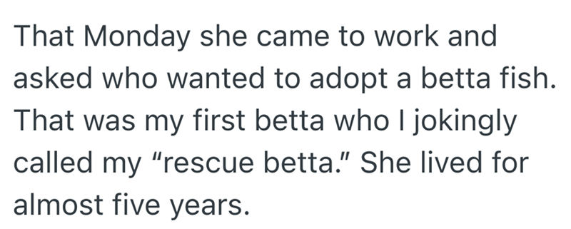 That Monday she came to work and asked who wanted to adopt a betta fish. That was my first betta who I jokingly called my "rescue betta." She lived for almost five years.