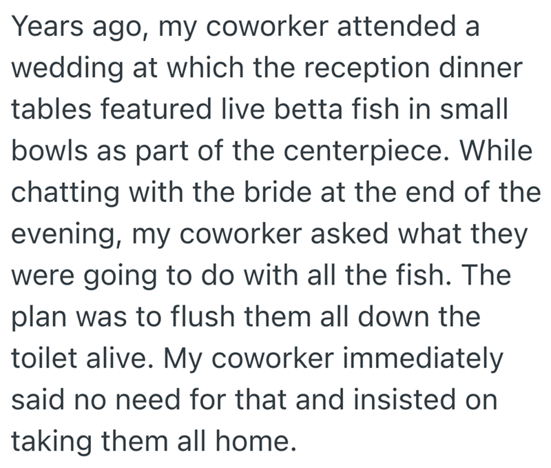 Years ago, my coworker attended a wedding at which the reception dinner tables featured live betta fish in small bowls as part of the centerpiece. While chatting with the bride at the end of the evening, my coworker asked what they were going to do with all the fish. The plan was to flush them all down the toilet alive. My coworker immediately said no need for that and insisted on taking them all home.
