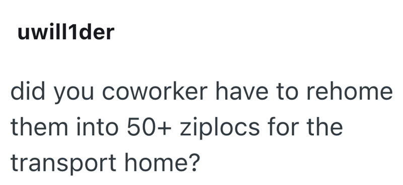 uwill1der did you coworker have to rehome them into 50+ ziplocs for the transport home?