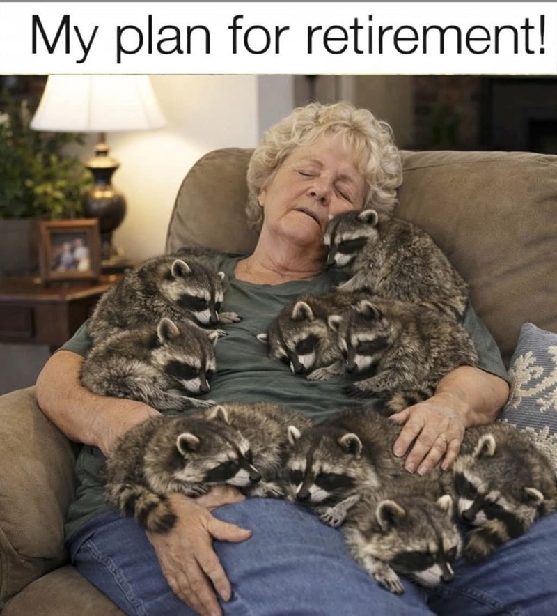 My plan for retirement!