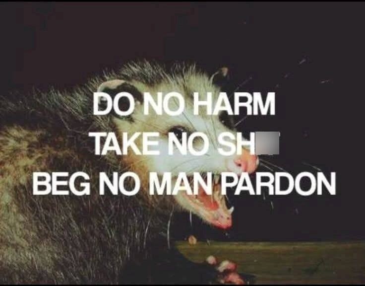 DO NO HARM TAKE NO SH BEG NO MAN PARDON