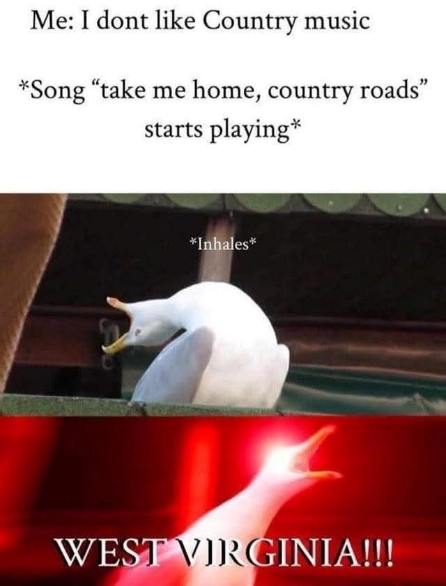 Me: I dont like Country music *Song "take me home, country roads" starts playing* *Inhales* WEST VIRGINIA!!!