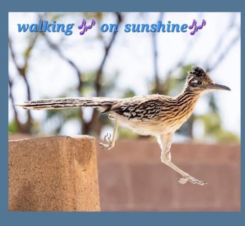 walking on sunshine