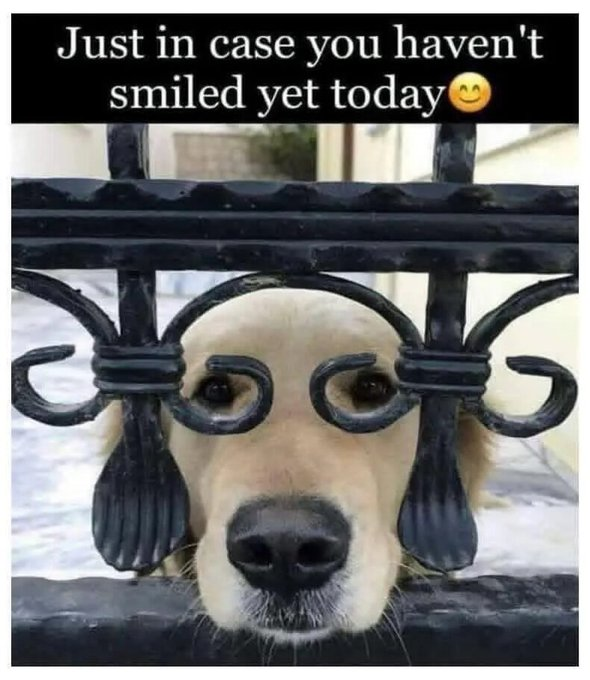 Just in case you haven't smiled yet today