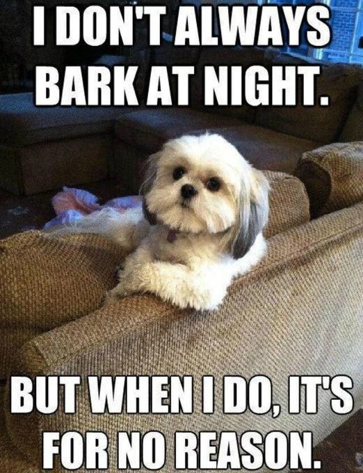 I DON'T ALWAYS BARK AT NIGHT. BUT WHEN I DO, IT'S FOR NO REASON.