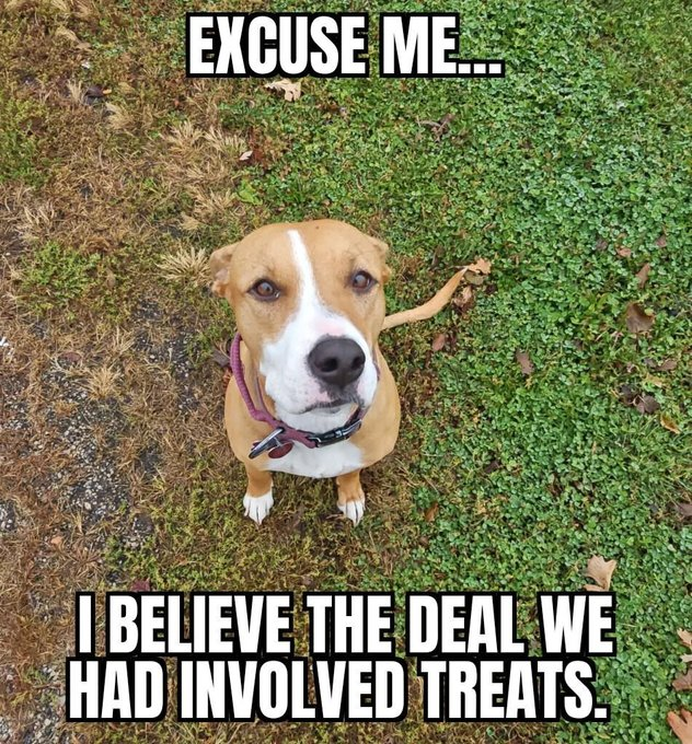 EXCUSE ME... I BELIEVE THE DEAL WE HAD INVOLVED TREATS.
