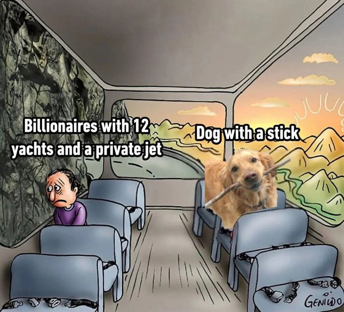 Billionaires with 12 yachts and a private jet Dog with a stick GENILDO