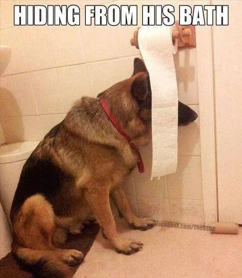 HIDING FROM HIS BATH Facebook.com/TheGsuc
