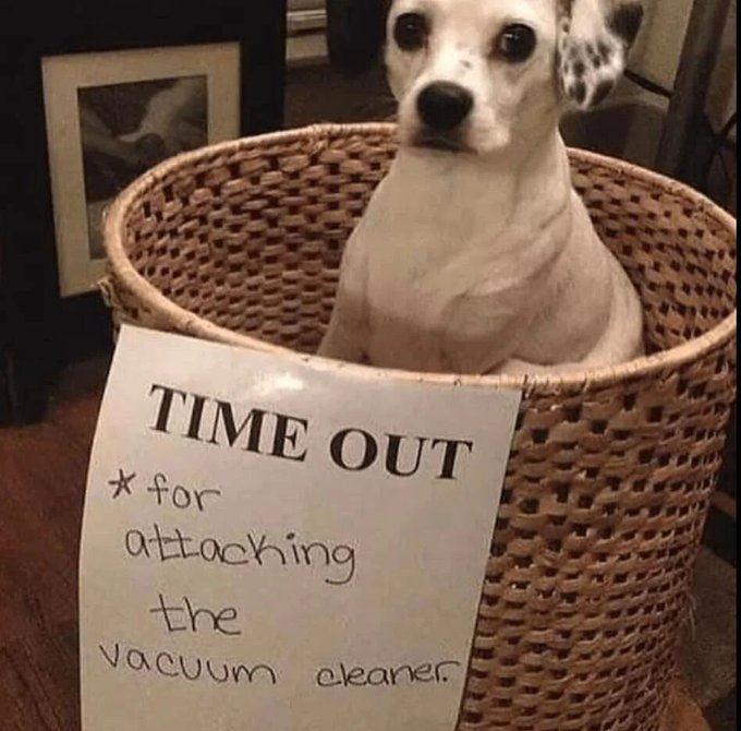 TIME OUT * for attacking the Vacuum cleaner