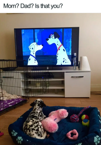 Mom? Dad? Is that you?