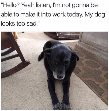 "Hello? Yeah listen, I'm not gonna be able to make it into work today. My dog looks too sad."