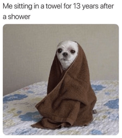 Me sitting in a towel for 13 years after a shower