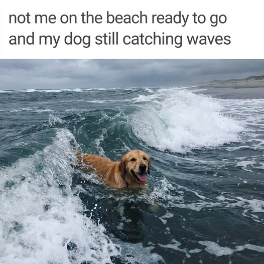 not me on the beach ready to go and my dog still catching waves