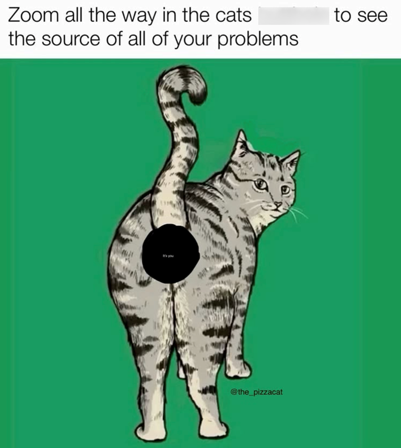 Zoom all the way in the cats the source of all of your problems It's you @the_pizzacat to see
