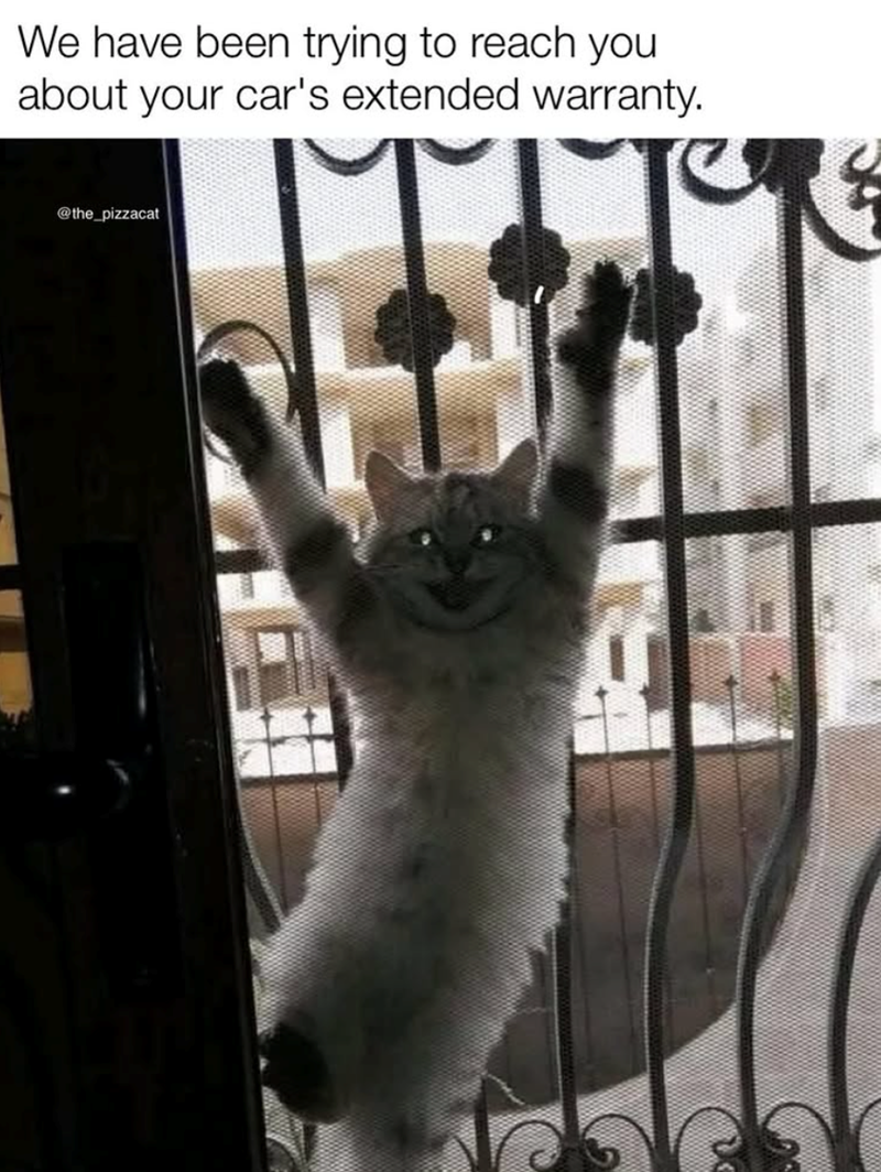 We have been trying to reach you about your car's extended warranty. @the_pizzacat