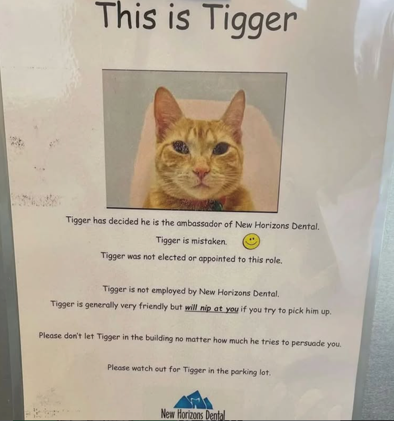 This is Tigger Tigger has decided he is the ambassador of New Horizons Dental. Tigger is mistaken. Tigger was not elected or appointed to this role. Tigger is not employed by New Horizons Dental. Tigger is generally very friendly but will nip at you if you try to pick him up. Please don't let Tigger in the building no matter how much he tries to persuade you. Please watch out for Tigger in the parking lot. New Horizons Dental