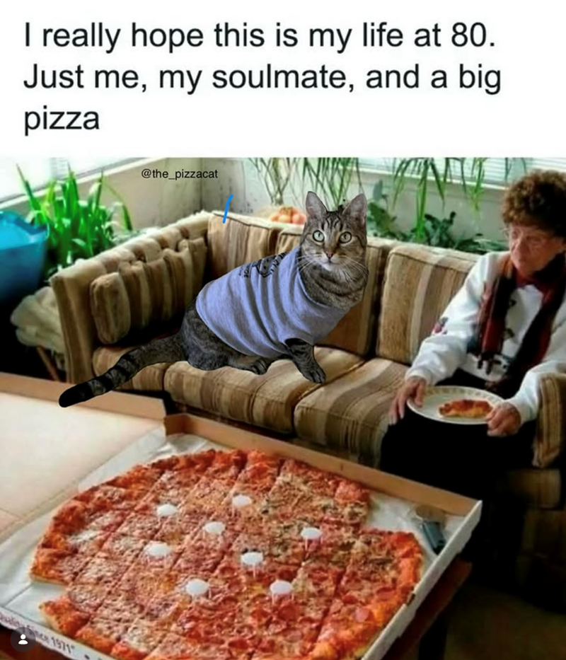 I really hope this is my life at 80. Just me, my soulmate, and a big pizza 1971 @the_pizzacat