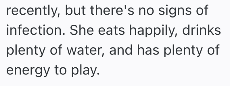 recently, but there's no signs of infection. She eats happily, drinks plenty of water, and has plenty of energy to play.