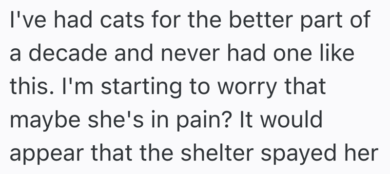 I've had cats for the better part of a decade and never had one like this. I'm starting to worry that maybe she's in pain? It would appear that the shelter spayed her
