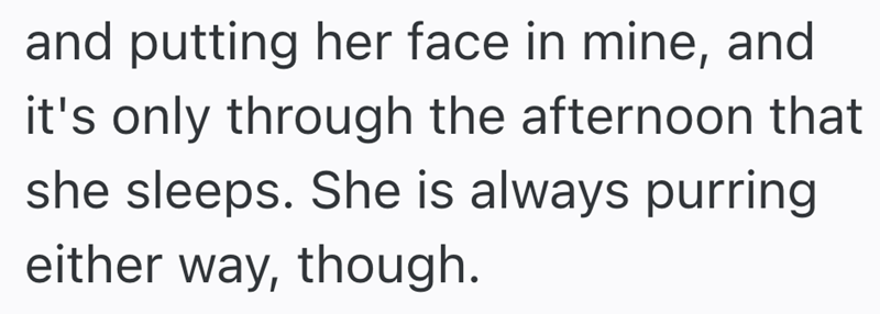 and putting her face in mine, and it's only through the afternoon that she sleeps. She is always purring either way, though.