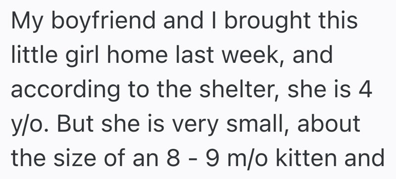 My boyfriend and I brought this little girl home last week, and according to the shelter, she is 4 y/o. But she is very small, about the size of an 8 - 9 m/o kitten and