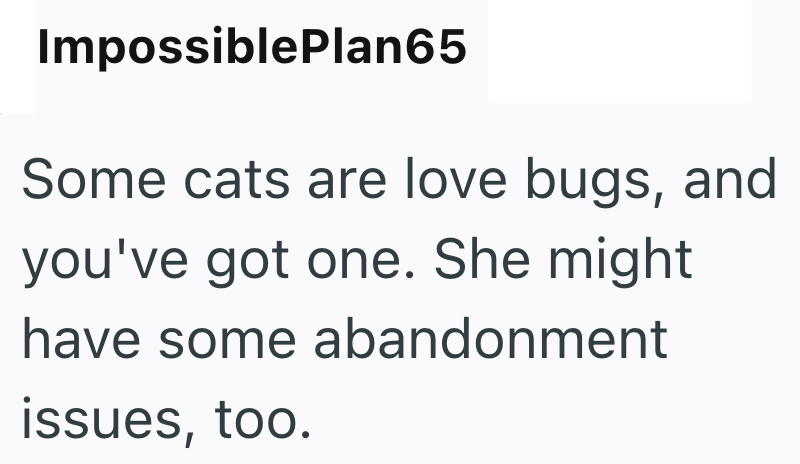 ImpossiblePlan65 Some cats are love bugs, and you've got one. She might have some abandonment issues, too.
