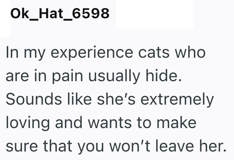 Ok_Hat_6598 In my experience cats who are in pain usually hide. Sounds like she's extremely loving and wants to make sure that you won't leave her.