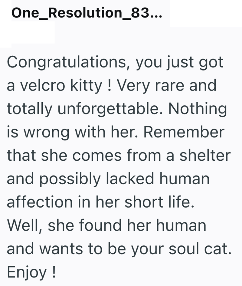 One_Resolution_83... Congratulations, you just got a velcro kitty ! Very rare and totally unforgettable. Nothing is wrong with her. Remember that she comes from a shelter and possibly lacked human affection in her short life. Well, she found her human and wants to be your soul cat. Enjoy!