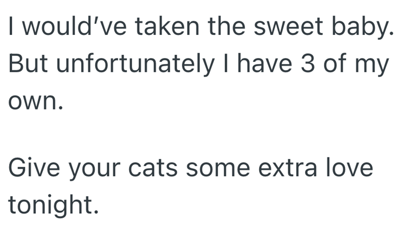 I would've taken the sweet baby. But unfortunately I have 3 of my own. Give your cats some extra love tonight.